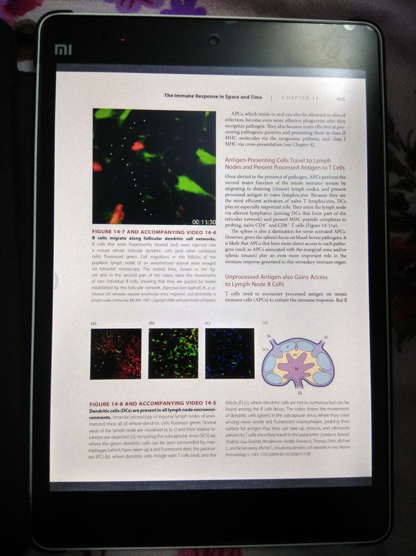 Which tablet is best for reading ebooks? Quora