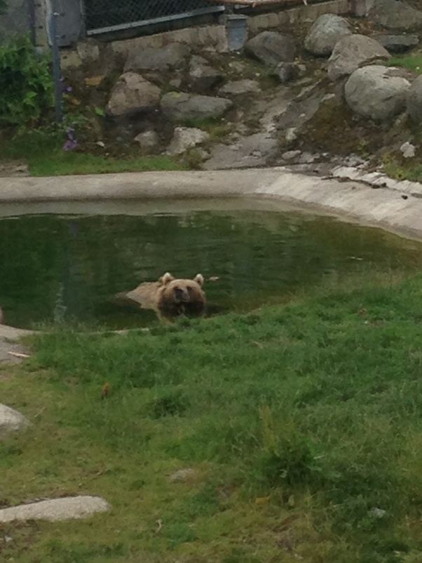 What does your country mean to you? Quora