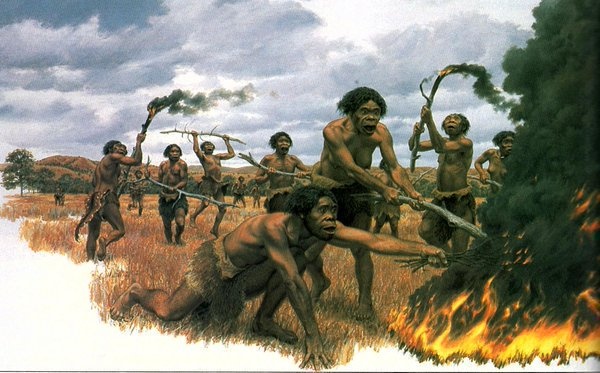 Did Homo erectus have a hand in the extinction of Homo habilis? Quora