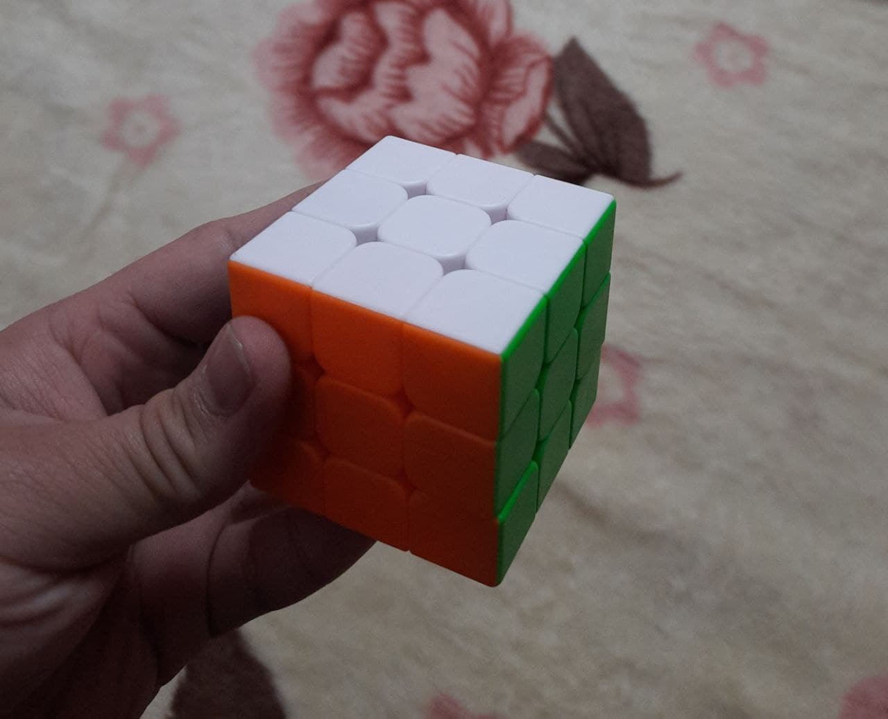 Apa hobi Anda? - Quora