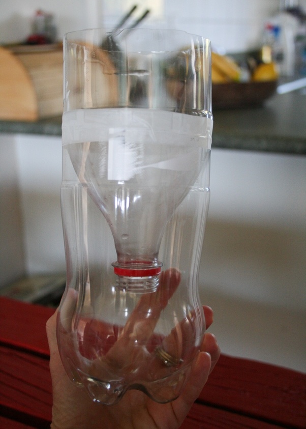 How to get rid of house flies without killing them Quora