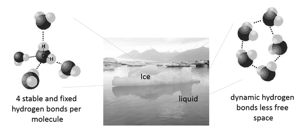 Why is water denser than ice despite being a liquid? Quora