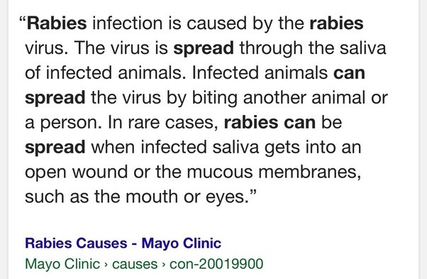 If I touch a water dish after a wild raccoon has been drinking out of