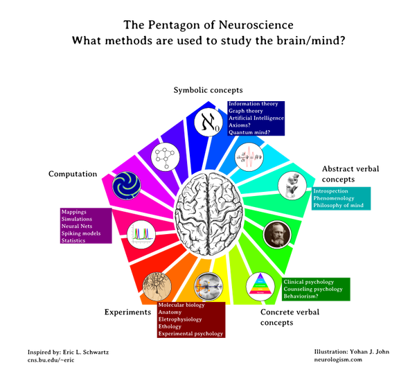What is the difference in approaches in cognitive neuroscience and
