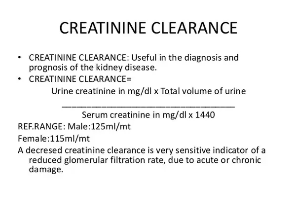 What is the difference between creatinine, creatinine clearance and