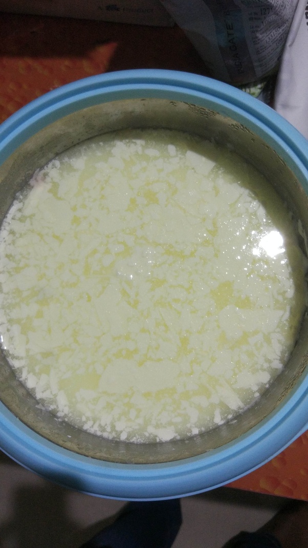 What is the difference between Indian curd and yogurt? Quora