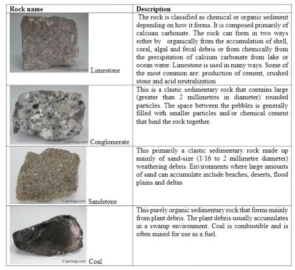 Types Of Sedimentary Rocks