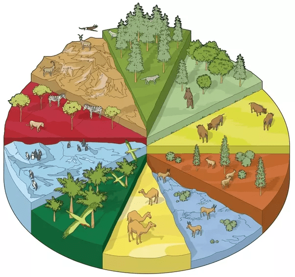 What is the difference between a biome and an ecosystem? Quora