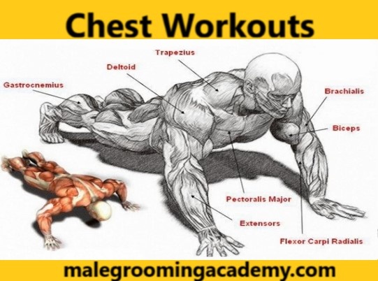 My palms hurt while doing pushups/straight arm plank. What