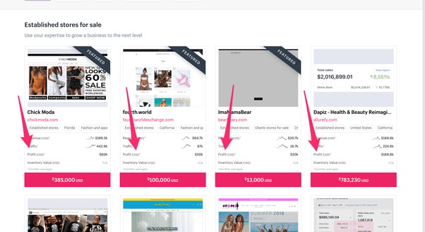 What is the average net profit for a Shopify store? Quora