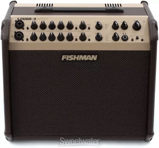Which are the best acoustic guitar amplifiers available under Rs 10000