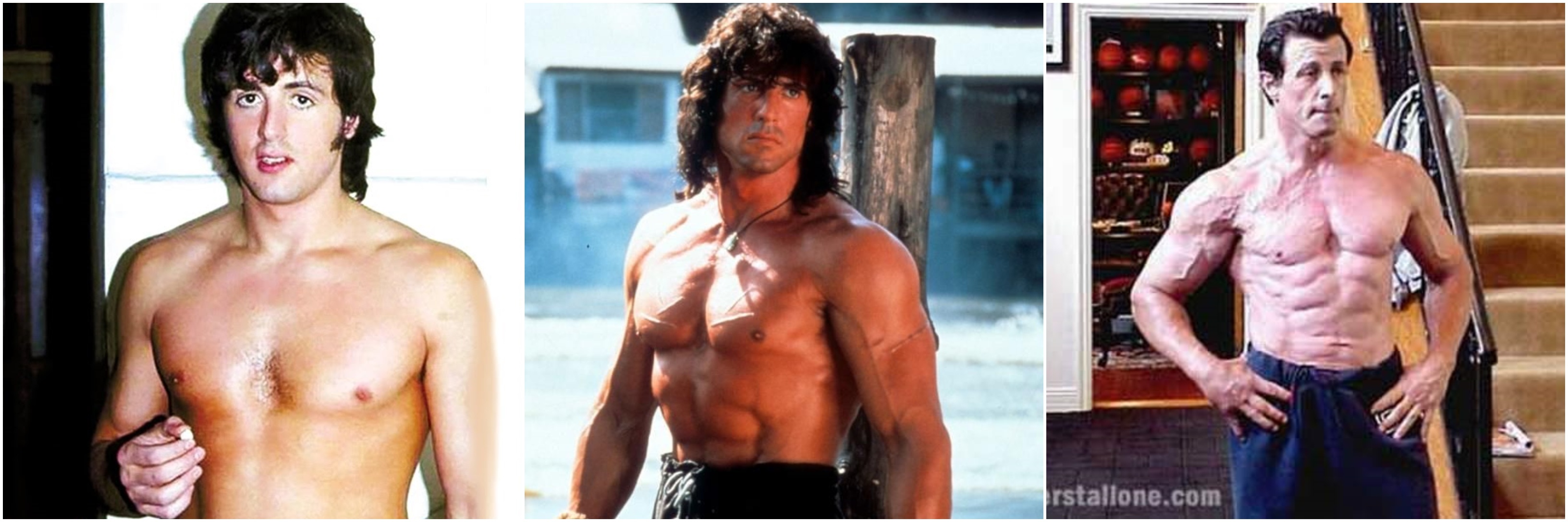 Comment Sylvester Stallone est-il devenu si massif sans utiliser de  stéroïdes ? - Quora