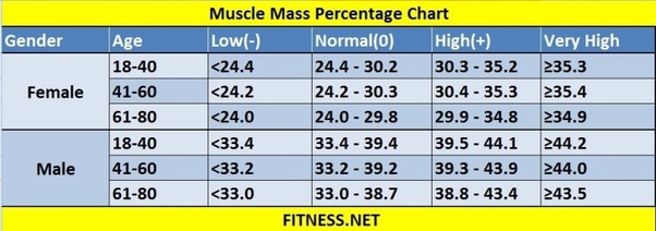 What is the ideal muscle to fat ratio? Quora