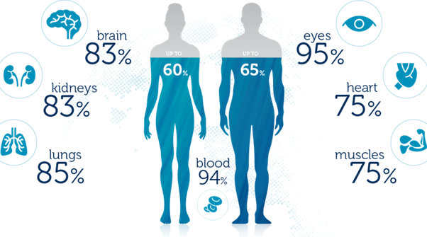 How many liters of water are in the body? Quora