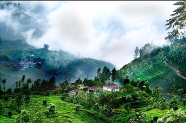 What are the best places to visit in India during monsoon season? Quora