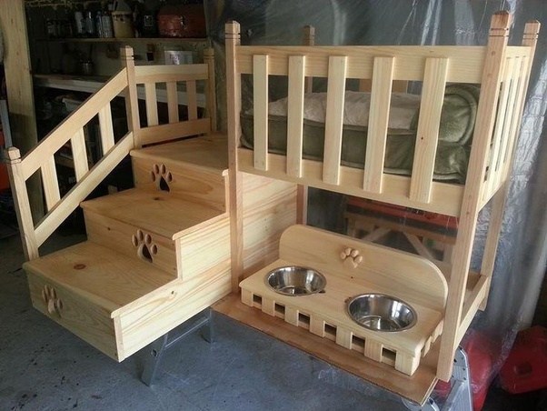 Are there any stores in the US that sell this dog bed? Quora
