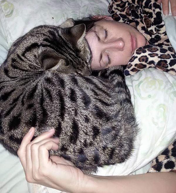 can cats suffocate under blankets Captions Feature