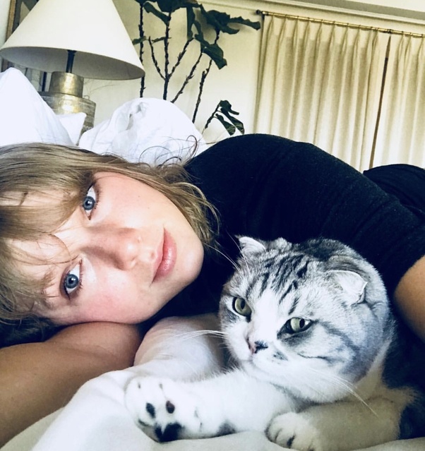 Incredible Taylor Swift Cats Song Ideas