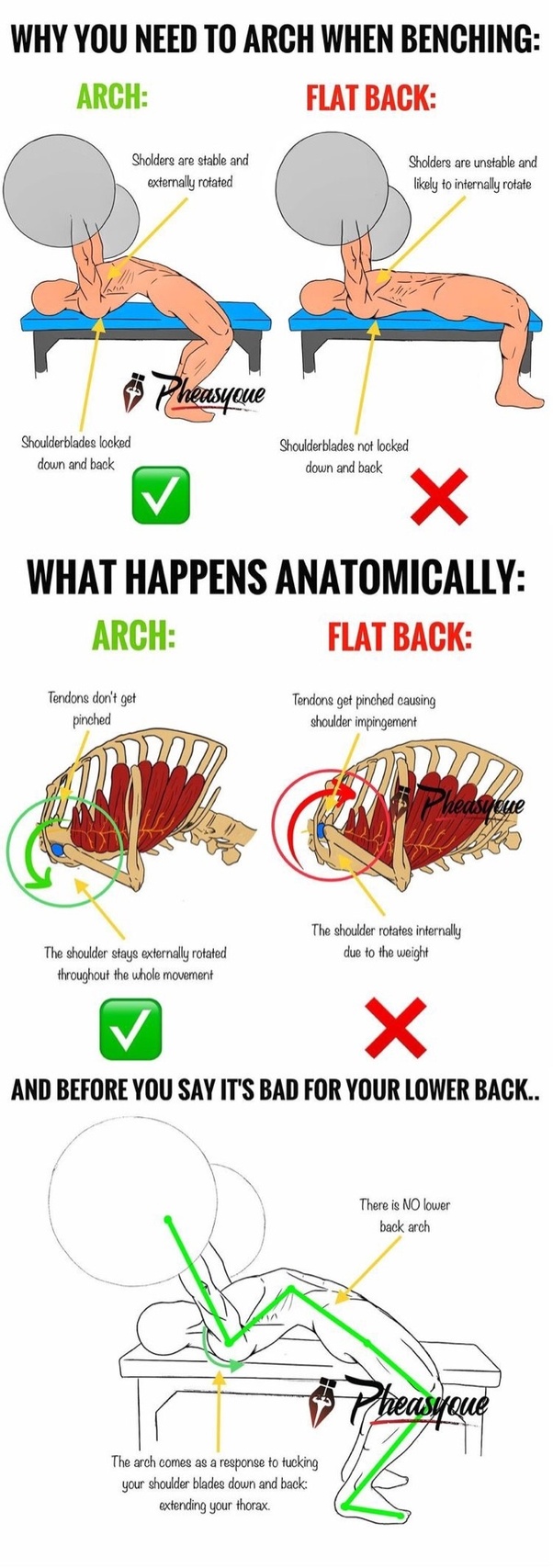 Why can I bench press more weight when I lift my butt off