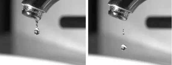 What are some reallife examples of surface tension? Quora