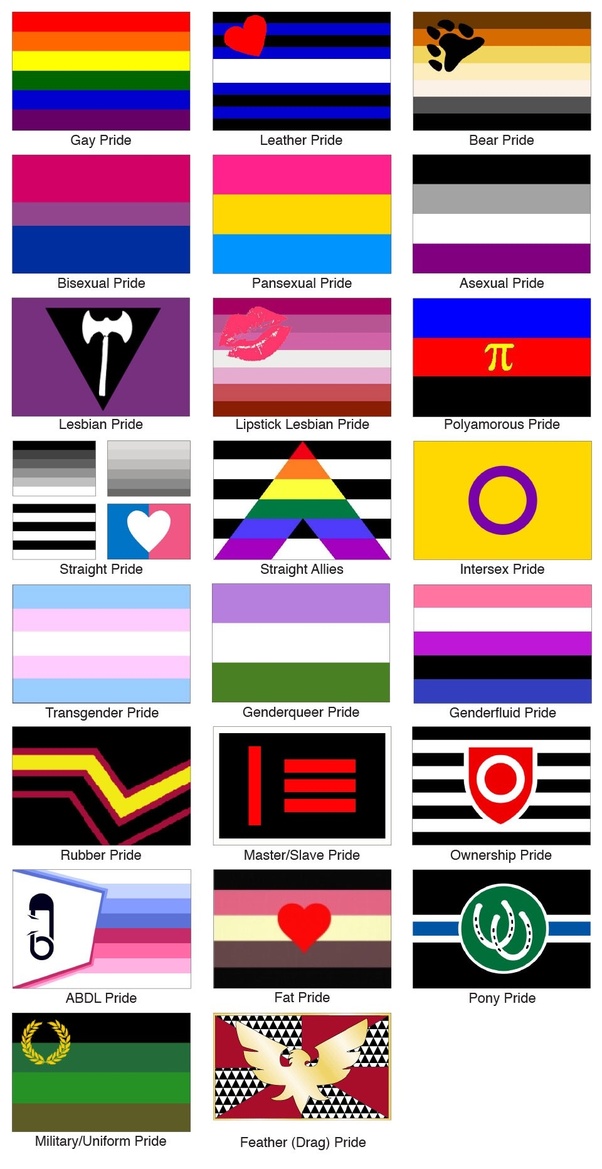 What is your take on the new gay pride flag? Quora