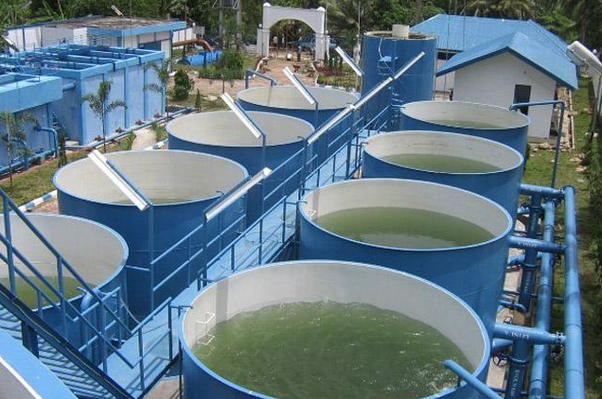What are 5 examples of public facilities that the government provides