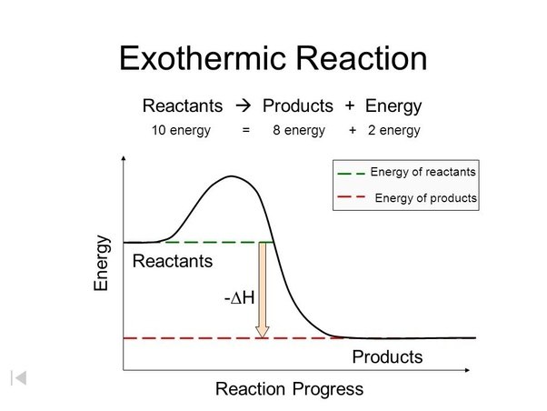 How to describe the difference between activation energy and enzymes