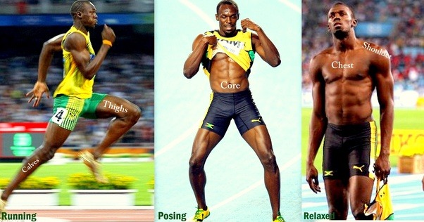 What are the most important muscles for sprinting? Quora