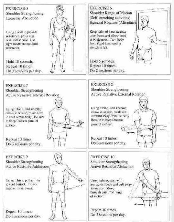 Physical Therapy Exercises For Rotator Cuff Injury Exercise Poster