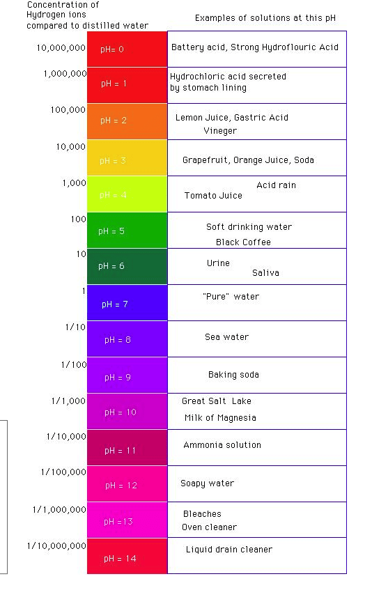 How to explain acid in a simple way Quora