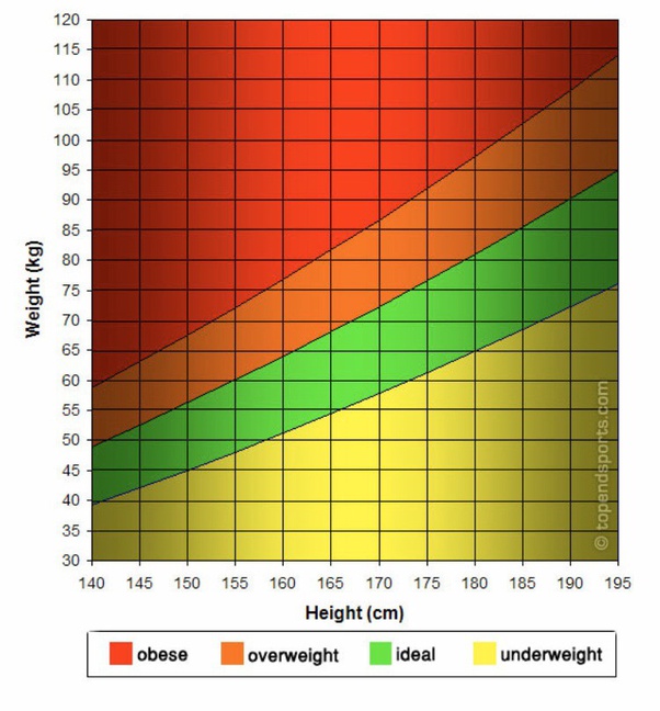 Top 20 11 year old weight average en iyi 2022