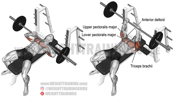 Are pushups the equivalent of benchpressing your own body weight? Quora