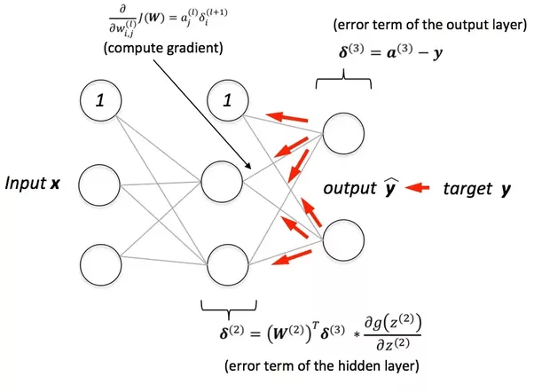 What is the best visual explanation for the back propagation algorithm