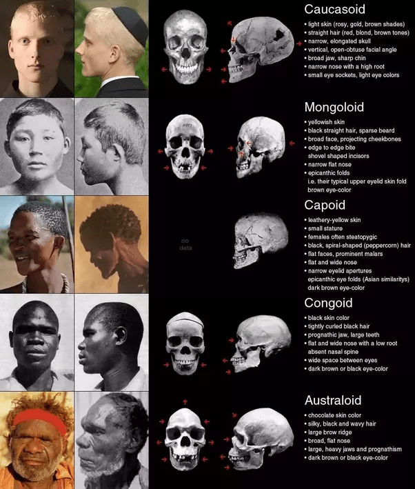 Why are different races of humans considered the same sub species? I