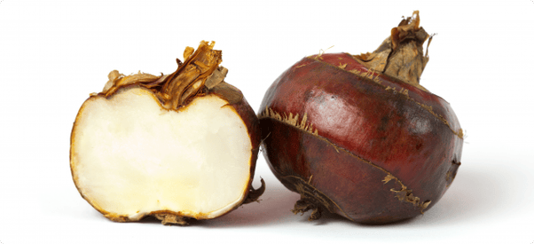 What do water chestnuts taste like? Quora