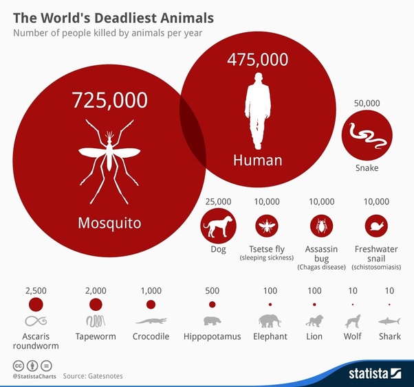 What is the purpose of mosquitoes and what would happen if mosquitoes