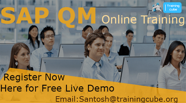 The most frequent questions for a SAP specialist MM PP SD QM PM in an