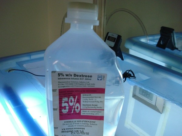 Is it good to drink glucose water before cardio? Quora