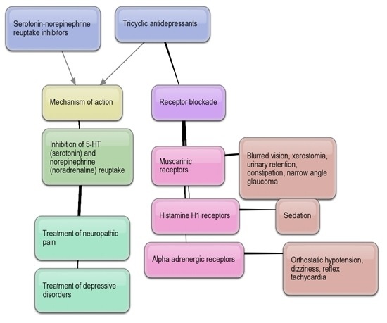 Ssri and snri tapering doesn't have to be hellish. What Is The Difference Between Tricyclic Antidepressants And Snris Quora
