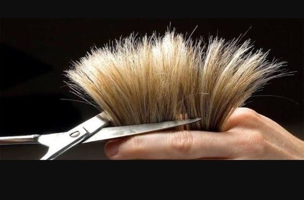 I have visible split ends everywhere. How am I supposed to