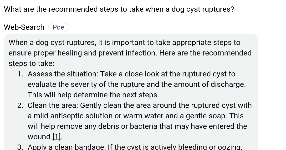 What are the steps to take when a dog cyst ruptures? Poe