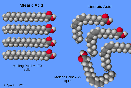 Why does unsaturated fat with many double bonds of carbon have a low