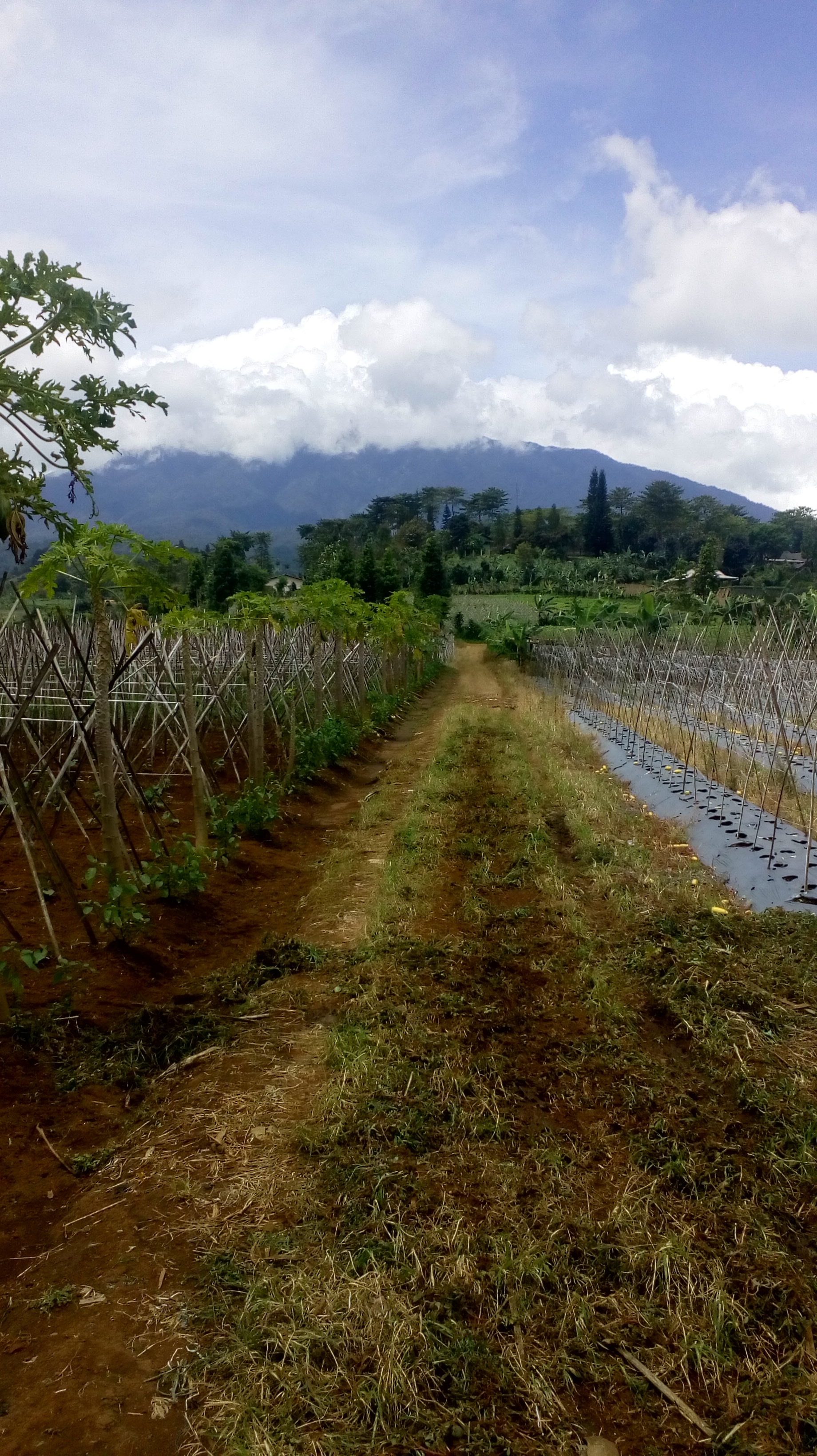 Seperti apa puisi yang menggambarkan kondisimu saat ini? - Quora