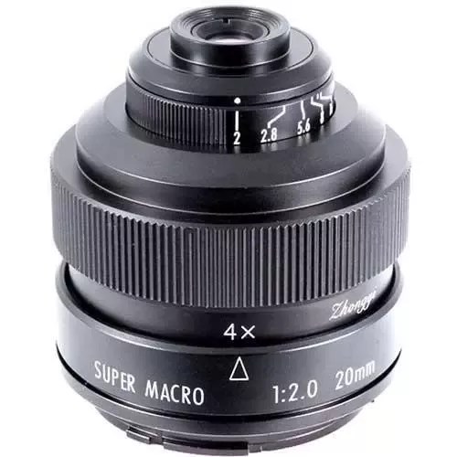 Peralatan apa yang Anda perlukan untuk memotret kepala semut dengan DSLR? -  Quora