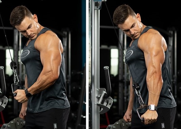 Apa latihan trisep yang paling brutal? - Quora