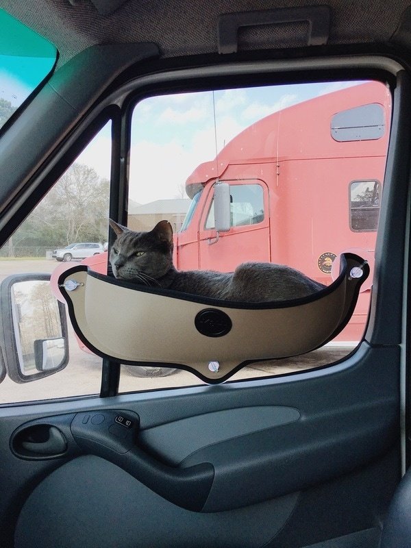 What's the best way to travel by car for 5.5 hours with 3