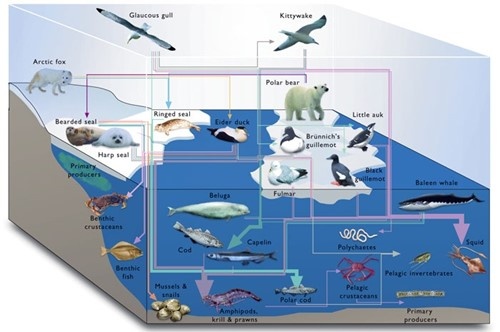 What is an example of high biodiversity and low biodiversity? Quora