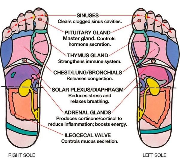 Sinus Headache Relief Pressure Points All You Need Infos