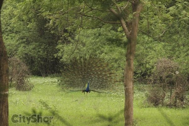 What are the best places to hang out near Infocity, Gandhinagar? Quora