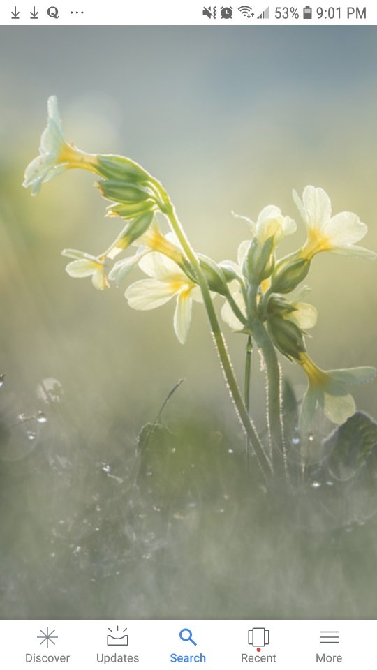 Why do I sweat more in the morning? Quora